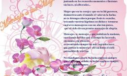 Mensaje a las Mujeres